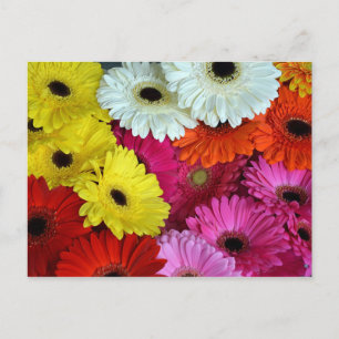 Kleurrijke kierbloemen briefkaart