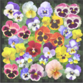 Kleurrijke kijkhoek sticker (Voorkant)