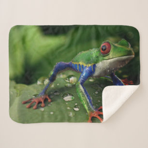 KLEURRIJKE KIKKER SHERPA DEKEN