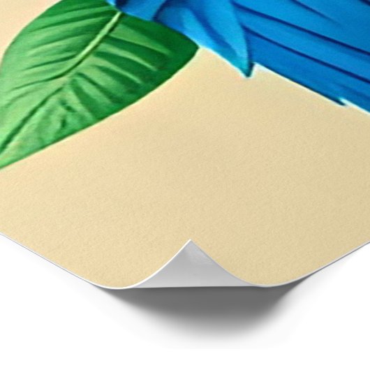 Kleurrijke Kingfisher vogel neergestreken op tak Poster (Hoek)