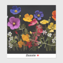 Kleurrijke klaprozen en andere bloemen