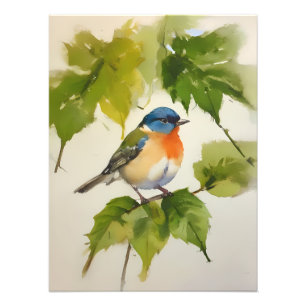 Kleurrijke Kleine Vogel op een Bladerrijke Tak Foto Afdruk