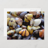 Kleurrijke klepschalen briefkaart (Voorkant / Achterkant)