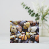 Kleurrijke klepschalen briefkaart (Staand voorkant)