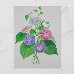 Kleurrijke klimatologische kunst met een glorische briefkaart