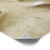 Kleurrijke klimmende wandraketten poster (Hoek)