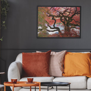 Kleurrijke knoestige Japanse esdoorn Poster