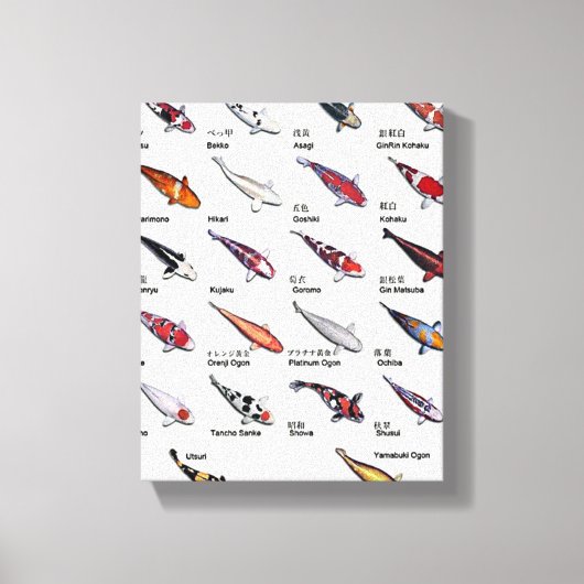 Kleurrijke Koi Vis Variëteiten Nishikigoi Aziatisc Canvas Afdruk (Voorkant)