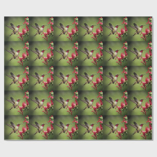 Kleurrijke Kolibrie Cadeaupapier