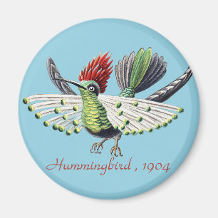 Kleurrijke Kolibrie Natuur Kunst van Ernst Haeckel Magneet