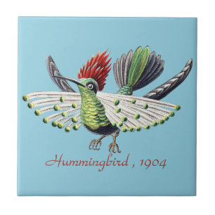Kleurrijke Kolibrie Natuur Kunst van Ernst Haeckel Tegeltje