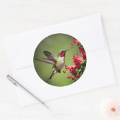 Kleurrijke Kolibrie Ronde Sticker (Envelop)