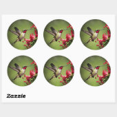 Kleurrijke Kolibrie Ronde Sticker (Vel)