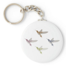 Kleurrijke Kolibries