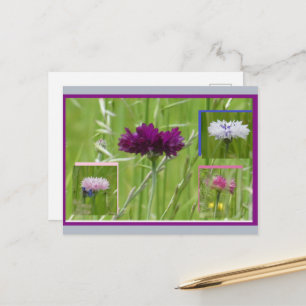 Kleurrijke Korenbloemen Collage DIY Briefkaart