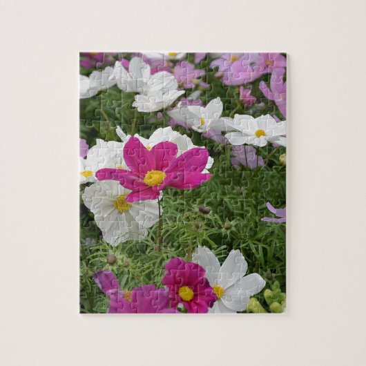Kleurrijke kosmosbloementuin legpuzzel (Verticaal)