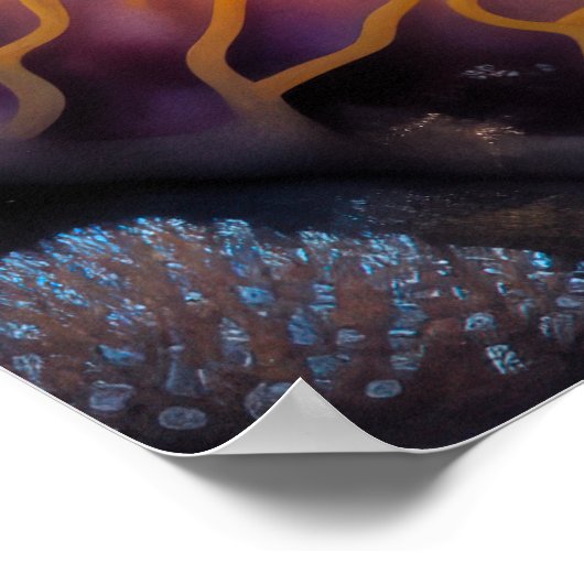 Kleurrijke krijttekenvis poster (Hoek)