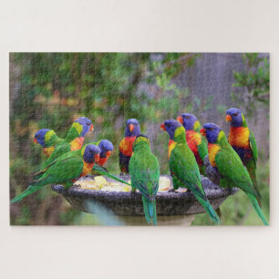 Kleurrijke kudde van regenboogvogels legpuzzel