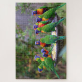 Kleurrijke kudde van regenboogvogels legpuzzel (Verticaal)