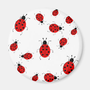 Kleurrijke ladybugs clipkunst magneet
