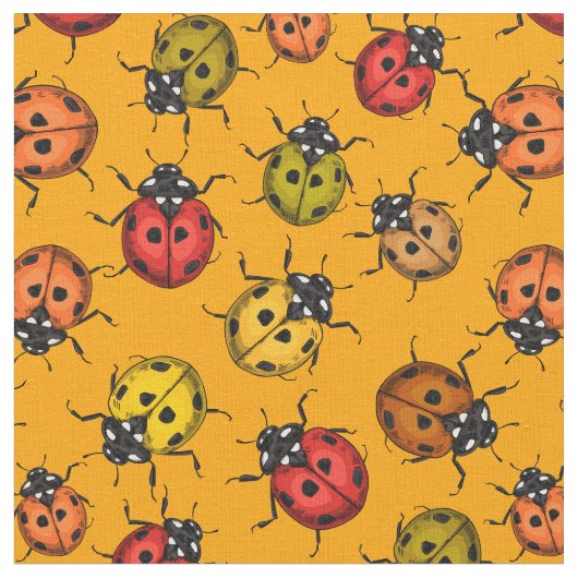 Kleurrijke ladybugs stof (Close Up)