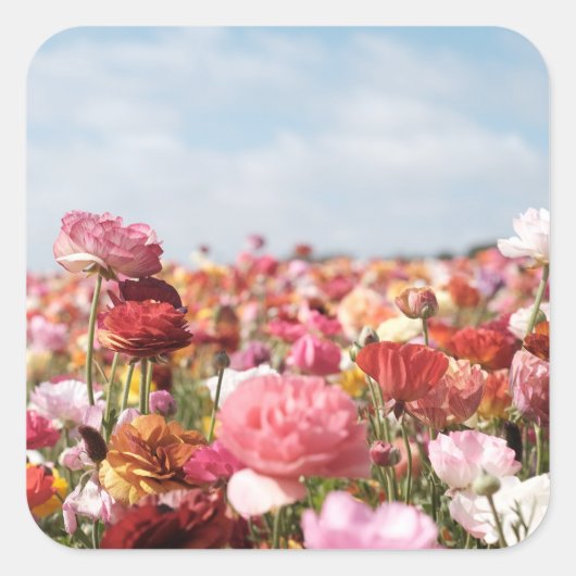 Kleurrijke lente bloem sticker (Voorkant)