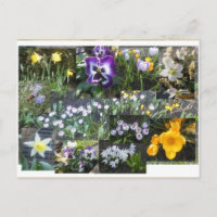 Kleurrijke Lente Bloemen Collage DIY Ansichtkaart