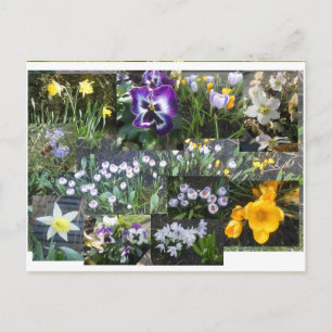 Kleurrijke Lente Bloemen Collage DIY Ansichtkaart Feestdagenkaart