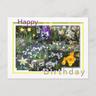 Kleurrijke Lente Bloemen Collage Verjaardagskaart Feestdagenkaart