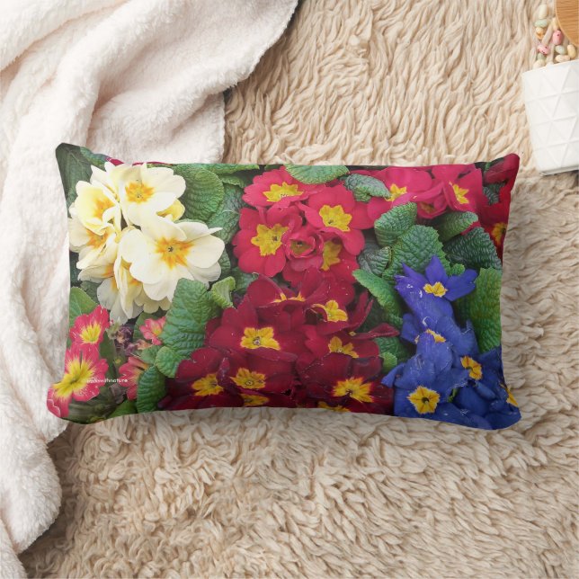 Kleurrijke Lente Medley van Primula's Kussen (Deken)