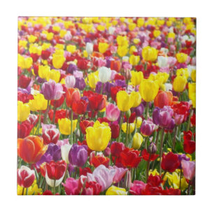 Kleurrijke lente tulpen bloemen tegel kunst cadeau tegeltje
