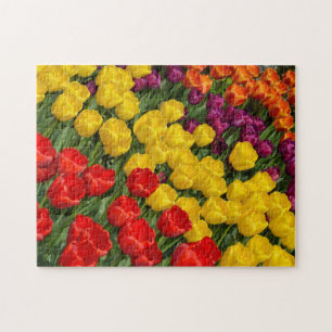 Kleurrijke lentuspenrijen puzzel legpuzzel