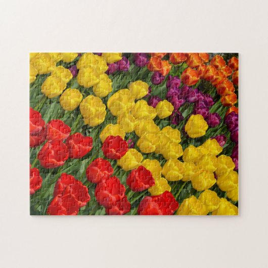 Kleurrijke lentuspenrijen puzzel legpuzzel (Horizontaal)