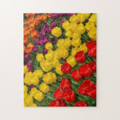 Kleurrijke lentuspenrijen puzzel legpuzzel (Verticaal)