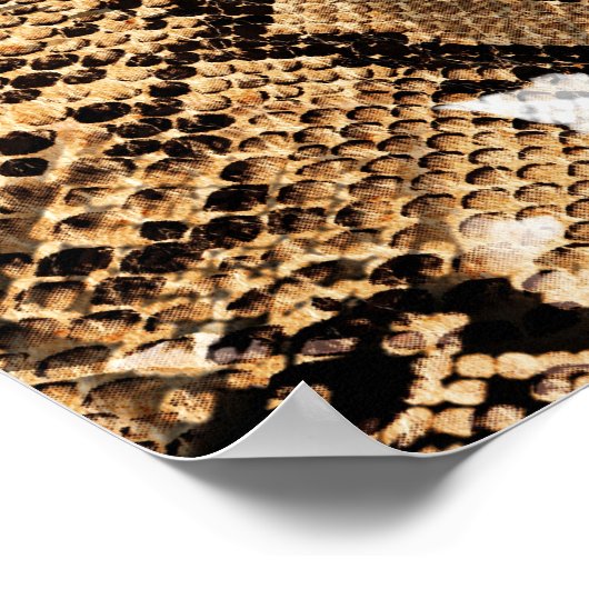 Kleurrijke Leopard Zebra camouflagepatroon Poster (Hoek)