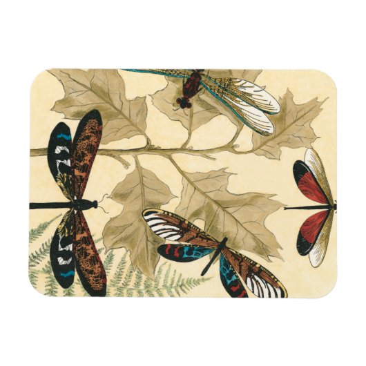 Kleurrijke libellen die boven bladeren drijven magneet (Horizontaal)