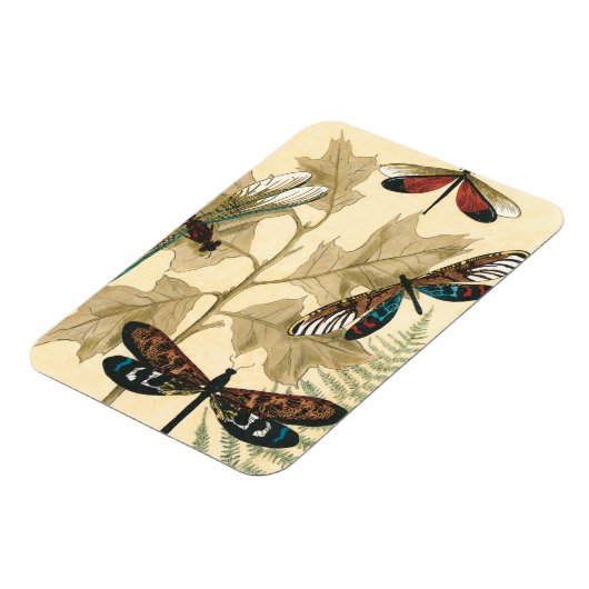 Kleurrijke libellen die boven bladeren drijven magneet (Linkerzijde)