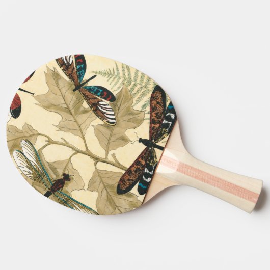 Kleurrijke libellen die boven bladeren drijven tafeltennisbatje (Zijkant)
