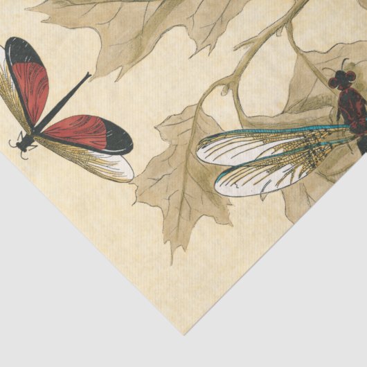 Kleurrijke libellen die boven bladeren drijven tissuepapier (Detail)