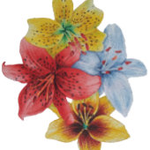 kleurrijke  lippenbloemen met vers mam kaart