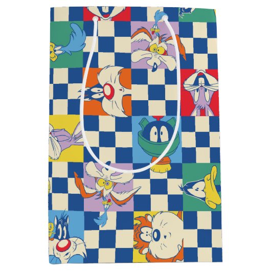 Kleurrijke LOONEY TUNES™ Checker Toss Pattern Medium Cadeauzakje (Voorkant)
