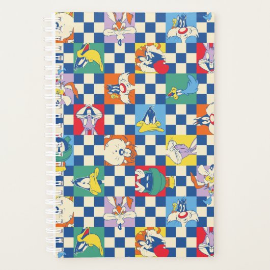 Kleurrijke LOONEY TUNES™ Checker Toss Pattern Planner (Voorkant)
