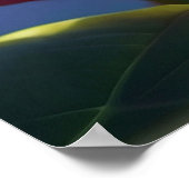 ** Kleurrijke Lotus Pond Dragonfly Blauw Poster (Hoek)