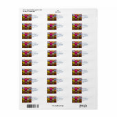 Kleurrijke Macarons Tasty Bked Dessert Etiket (Full Sheet)