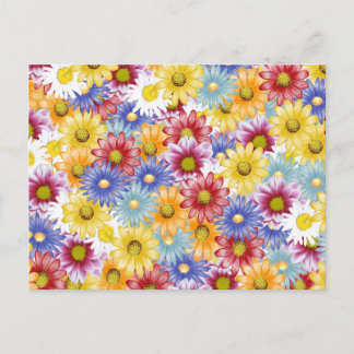 Kleurrijke Madeliefjes Bloemen Briefkaart