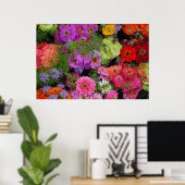 kleurrijke madeliefjes poster (Thuiskantoor)