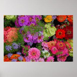 kleurrijke madeliefjes poster