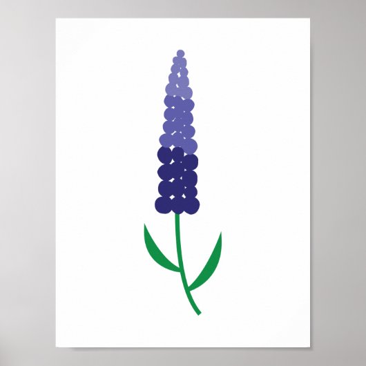 Kleurrijke Maine Lupin Poster (Voorkant)