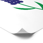 Kleurrijke Maine Lupine Poster (Hoek)