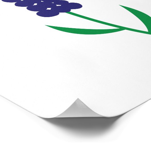 Kleurrijke Maine Lupine Poster (Hoek)